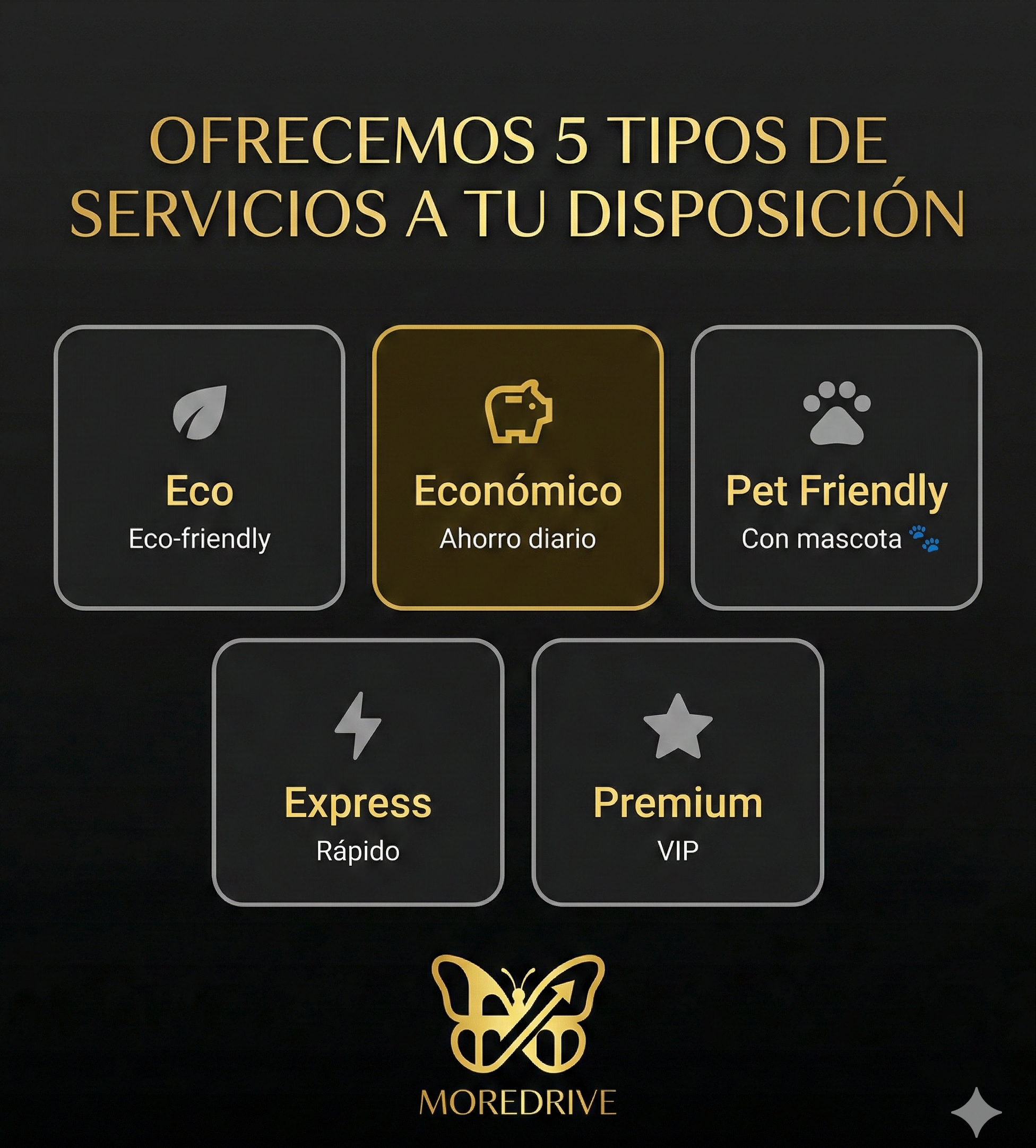 Tipos de servicio Moredrive